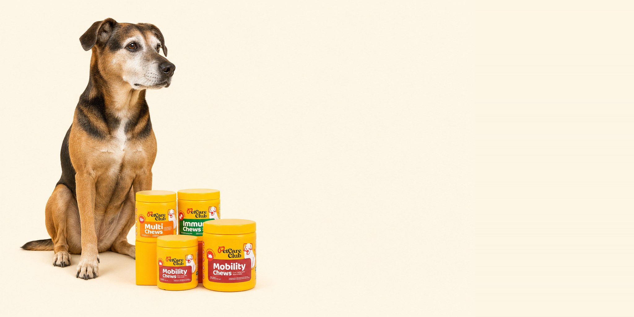 Perro senior de hocico cano junto a los masticables de PetCare Club